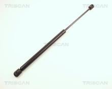 Triscan A/S 8710 25202