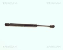 Triscan A/S 8710 25204