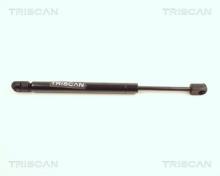 Triscan A/S 8710 25205