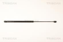 Triscan A/S 8710 25250