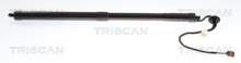 Triscan A/S 8710 27314