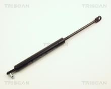 Triscan A/S 8710 2809