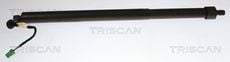 Triscan A/S 8710 28312