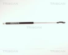 Triscan A/S 8710 29208