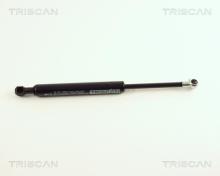 Triscan A/S 8710 29210