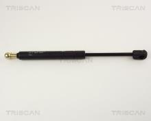 Triscan A/S 8710 29219