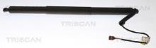 Triscan A/S 8710 29305