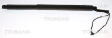 Triscan A/S 8710 29312