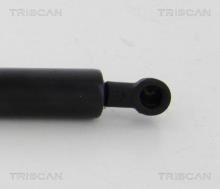 Triscan A/S 8710 38243