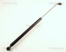 Triscan A/S 8710 40205