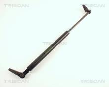 Triscan A/S 8710 42220