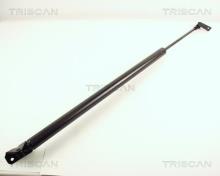 Triscan A/S 8710 43205