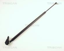Triscan A/S 8710 50202