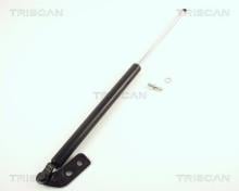 Triscan A/S 8710 50211