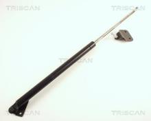 Triscan A/S 8710 50218