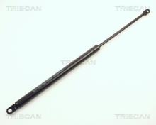 Triscan A/S 8710 6501