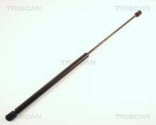 Triscan A/S 8710 65101