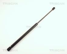 Triscan A/S 8710 65204