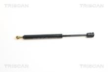 Triscan A/S 8710 65207