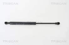 Triscan A/S 8710 65209