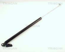 Triscan A/S 8710 68204