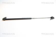 Triscan A/S 8710 69210