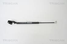 Triscan A/S 8710 69217