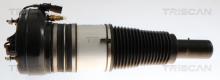 Triscan A/S 8720 29105