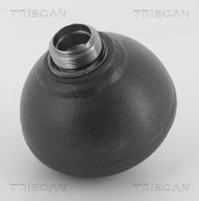 Triscan A/S 8760 38304