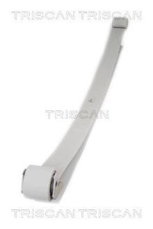 Triscan A/S 8765 28005