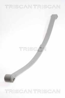 Triscan A/S 8765 29020