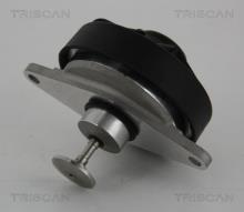 Triscan A/S 8813 24202
