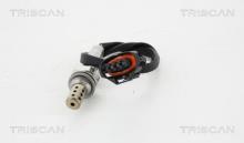 Triscan A/S 8845 24060