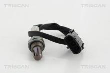 Triscan A/S 8845 25006