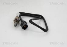 Triscan A/S 8845 43013