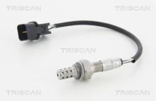 Triscan A/S 8845 43022