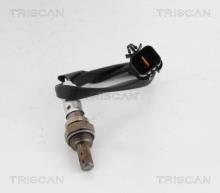 Triscan A/S 8845 43124