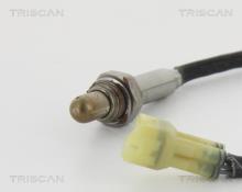 Triscan A/S 8845 69019