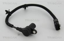 Triscan A/S 8855 18106