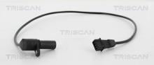 Triscan A/S 8855 24110