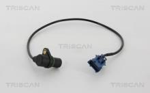 Triscan A/S 8855 24122