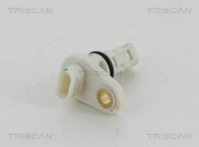 Triscan A/S 8855 24139