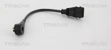 Triscan A/S 8855 29133