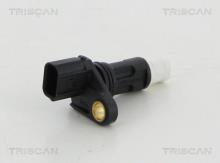 Triscan A/S 8855 40106