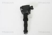 Triscan A/S 8860 20002