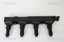 Triscan A/S 8860 24013