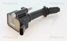 Triscan A/S 8860 24045