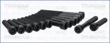 Triscan A/S 98-5013