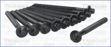 Triscan A/S 98-6013