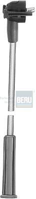 BERU R126